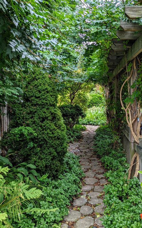 An Artist’s Garden - FineGardening Window Hanging Plants, Pretty Pathways, Garden Shadow, Indoor Hanging Plants, Best Indoor Hanging Plants, Plants For Beginners, Tattoo Garden, Fine Gardening Magazine, Garden Nails