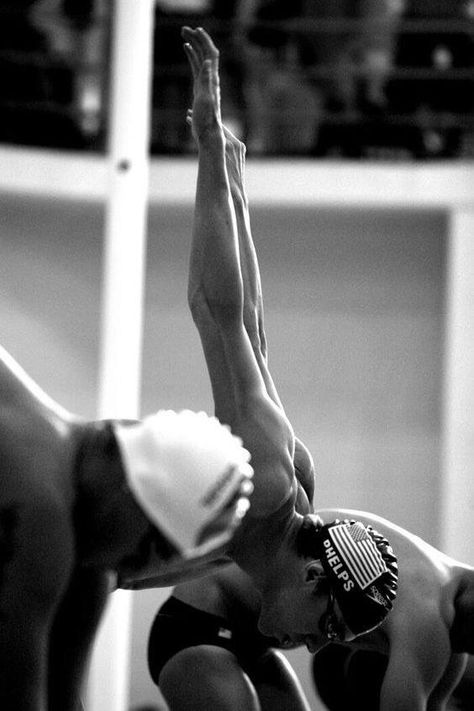 Swim Photography, Swimmer Memes, Swimming Technique, Swimming Jokes, Swimming Photography, Swimming Motivation, Swimming Pictures, Swimming World, Usa Swimming