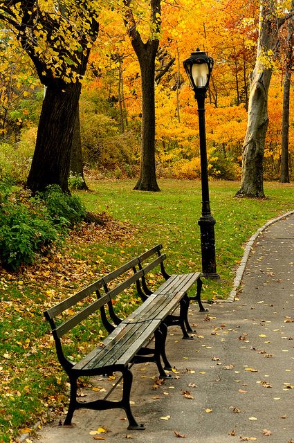 Bench Rest, Park Benches, New York Summer, Autumn In New York, Fotografi Alam Semula Jadi, Autumn Colours, Autumn Scenery, Foto Art, Autumn Beauty