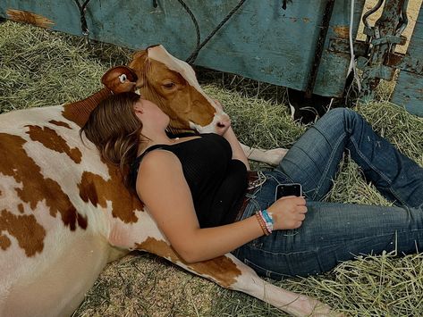 Cow Cuddles, Cow Hugging, Cow Cuddling, Cow Sleeping, A Cow, Horse Stuff, Farm Life, Soil, Bucket List