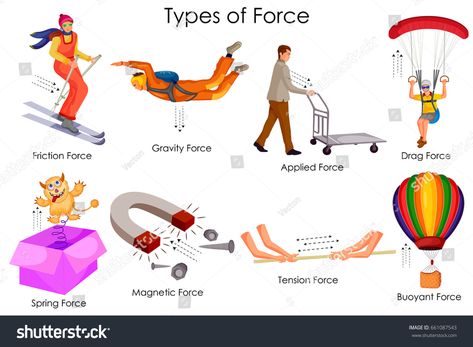 Education Chart of Physics for Different Types of Force Diagram. Vector illustrationPhysics#Types#Education#Chart Physics Related Images, Types Of Forces Physics, Types Of Motion Physics, Force Physics, Types Of Forces, Education Chart, Motion Physics, Science Chart, Education Vector