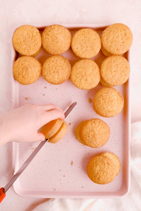 Individual Victoria Sponge Cakes, Mini Victoria Sponge Cake, Sponge Cupcake Recipe, Mini Victoria Sponge Cakes, Mini Victoria Sponge, Sponge Recipe, Victoria Sponge Cake, Sponge Cakes, Cupcakes Recipes