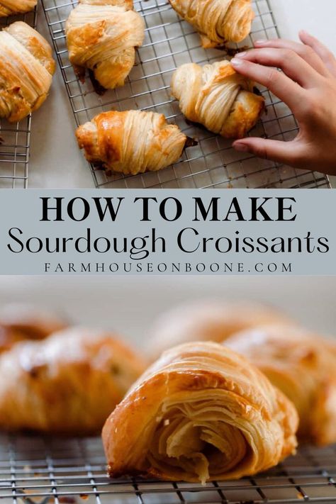 These flaky, buttery sourdough croissants are one of the most decadent sourdough recipes I’ve ever enjoyed. Layers of sourdough pastry dough and layers of butter are shaped and baked. These make the perfect brunch sandwich bread, a fancy breakfast, or a wonderful holiday roll. Farmhouse On Boone Croissants, Sourdough Discard Cresent Rolls, Sour Dough Sandwich Bread Recipe, Sourdough Discard Pastry, Sourdough Discard Crossaints, Sourdough Bread Fillings, Croissant Recipe Sourdough, Sour Dough Croissant, Sourdough Crissonts