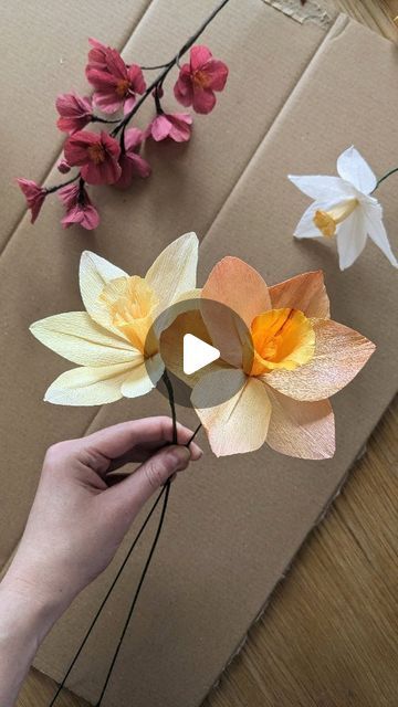 Crepepaperflower Diy, Paper Flower Garland Diy, Rory Birthday, Paper Daffodils, Ideas Casamiento, Daffodil Craft, Giant Paper Flower Tutorial, Crepe Paper Flowers Tutorial, Paper Flower Crown