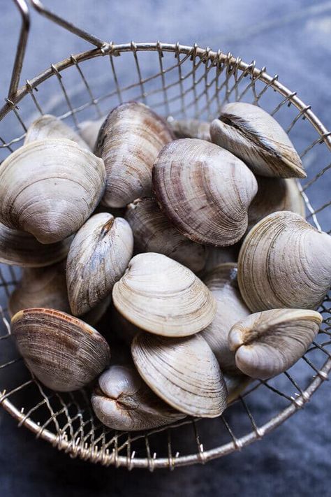 Grilled Clams with Charred Jalapeño Basil Butter | halfbakedharvest.com @hbharvest Grilled Clams, Basil Butter, Stone Soup, Food Texture, Clam Bake, Clam Recipes, Reduce Food Waste, Seafood Restaurant, Fish Dishes