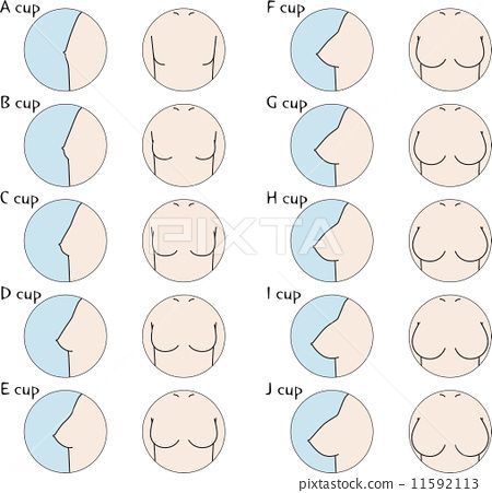 Human Anatomy Reference, Body Type Drawing, Female Anatomy Reference, Human Body Drawing, Drawing Female Body, Human Anatomy Drawing, Body Drawing Tutorial, Human Figure Drawing, Body Reference Drawing