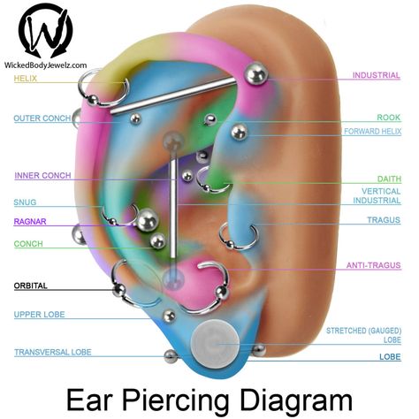 Ear Piercing Diagram Wolverines Animal, Piercing Diagram, Ear Piercing Diagram, Migraine Piercing, Ušný Piercing, Piercing Facial, Nikko Hurtado, Piercing Face, Taurus Horoscope