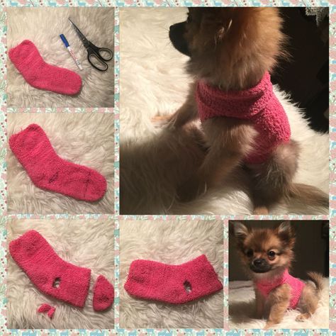 03-dic-2015 - How to make a sweater for your puppy out of a sock! Chien Yorkshire Terrier, Kitten Clothes, Kitten Sweater, Puppy Diy, Chihuahua Clothes, Dog Sweater Pattern, Diy Dog Toys, Small Dog Sweaters, Dog Clothes Diy