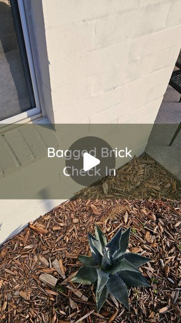 Katrina + Jesse | Budget Reno Tips + Floorplan Design on Instagram: "All it took was some sand, cement, water + plasticiser to transform our grotty 70s brick. 

An easy + cheap DIY that will pair beautifully with our black clad extension, new windows + real bluestone crazy pave. 

▪️▪️▪️

#baggedbrick #renderedhouse #render #diy #budgetrenotips #facade #facademakeover" Diy Rendering Brick, Clad Extension, Brick Rendering, Crazy Pave, Reno Tips, New Windows, Easy Cheap, Red House, Cheap Diy