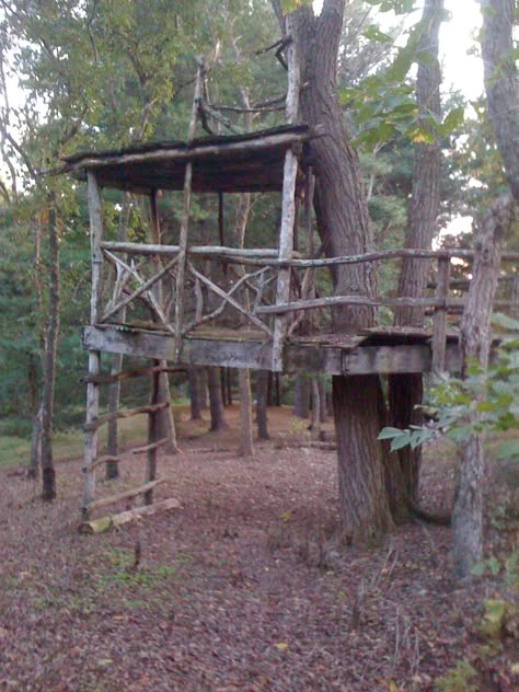 Secret House In The Woods, Wood Forts In The Woods, Outdoor Fort In The Woods Ideas, Hang Out In The Woods, Secret Hideout Ideas, Hangout Spot In Woods, Outdoor Fort In The Woods, Fort In Woods, Forest Hangout Spot