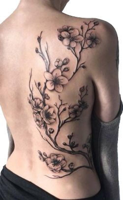 Lotusblume Tattoo, Floral Back Tattoos, Black Art Tattoo, Flower Wrist Tattoos, Kunst Tattoos, Vine Tattoos, Inspiration Tattoos, Cat Tattoos, Tiny Tattoo