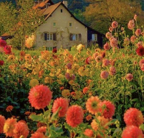 Oddly Aesthetic, Spring Aesthetic, Pretty Photos, Nature Aesthetic, Flower Field, Pretty Places, Dream Garden, Farm Life, Aesthetic Photography