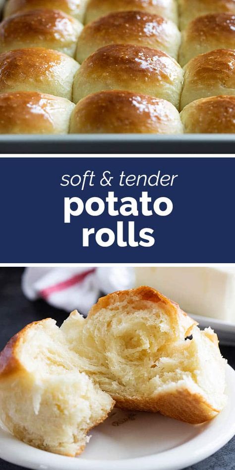 Potato Buns Recipe Dinner Rolls, Potato Roll Up Recipe, Potatoe Cheese Bread, Amish Friendship Bread Starter Recipes Potato Flakes, Potato Yeast Bread Recipe, Mashed Potato Bread Recipe, Amish Potato Rolls, Potato Rolls Recipe Mashed, Potato Rolls With Instant Potatoes