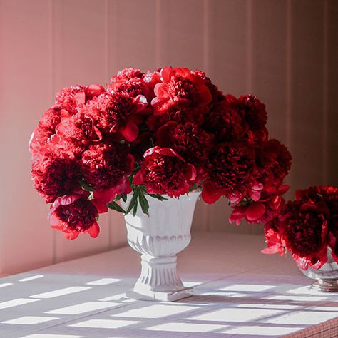 Peony Arrangement, Faux Floral Arrangement, Red Peonies, Bright Florals, Red Rose Flower, Peonies Bouquet, Peony Flower, Last Call, Architectural Digest