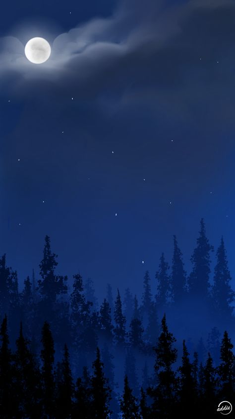 How To Draw Night Sky Digital, Digital Night Sky, Forest Night Sky Painting, Night Sky Drawing Digital, Forest At Night Art, Night Sky Reference, Night Sky Phone Wallpaper, Drawing Night Sky, Night Time Background