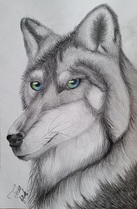 Recent Wolf Drawing done live on Instagram using Graphite pencils, charcoal pencils, and prismacolor pencils for the eyes. Check out our socials for more live art productions. Take a class with us to learn how to achieve this! Live Art, Wolf Drawing, Prismacolor Pencils, Graphite Pencils, A Class, Art Of Living, Husky, To Learn, Dogs