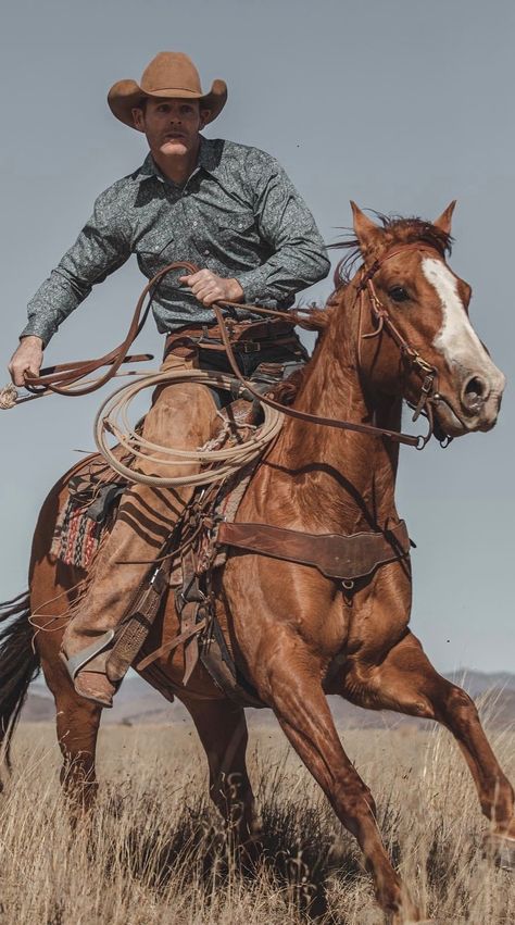 Rodeo Pose Reference, People On Horse Reference, Western Cowboy Photography, Cowboy Body Reference, Man Riding Horse Reference, Two People On Horseback, Cowboy On Horse Photography, Cowboy Riding Horse Reference, Cowboy Horse Photography