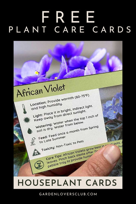 Simplify your plant care routine, and never forget how to treat your green friends again! You get 15 plant care cards that you can download and save or easily print. Printable Plant Care Cards, Plant Care Cards, Plant Cards, Plant Printable, Bracelet Flowers, Houseplant Care, House Plant Care, Indoor Gardening, Garden Lovers