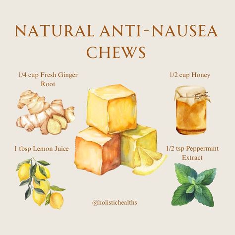 Natural Nausea Remedies, Holistic Tips, Health Remedy, Ginger Chews, Ginger Honey Lemon, Herbal Education, Ginger Honey, Anti Nausea, Peppermint Extract