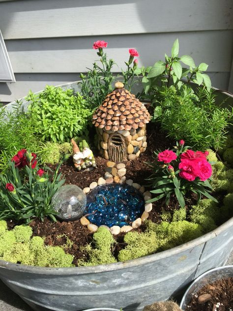 Building Fairy Garden, Fairy Dish Garden Ideas, Fairy Garden With Succulents, Cactus Fairy Garden, Small Fairy Garden Ideas, Mini Fairy Garden Ideas, Fairy Garden Container Ideas, Fairy Garden In A Pot, Flower Pot Fairy Garden