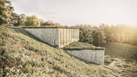 House on a Slope | Williamson Williamson Inc. Building On Hill, Slope House Design Hillside Landscaping, Architecture On A Slope, Building On A Slope, House On The Slope, House Built Into Hill, Slope Landscaping Ideas, House On A Slope, House Built Into Hillside