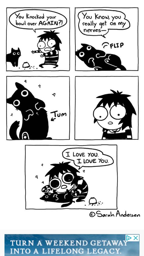 Sarah Anderson Comics, Sarah's Scribbles, Sarah Andersen, Sarah Anderson, Online Comics, Cat Comics, Cats And Dogs, Cute Comics, Crazy Cat Lady