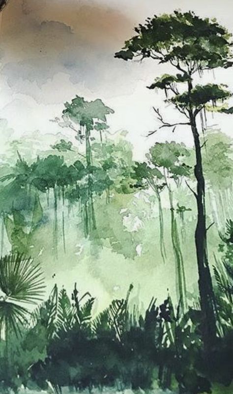 Costa Rica Art, Painting Trees, Jungle Illustration, Diy Watercolor Painting, Painting Classes, Diy Watercolor, Watercolor Art Lessons, Painting Tutorials, Watercolor Wall Art