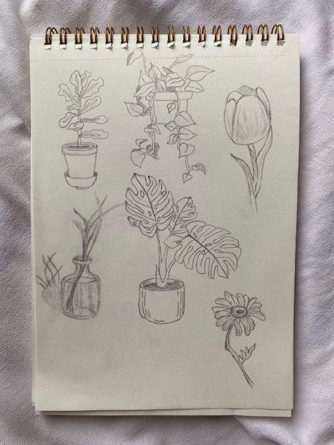 Simple Plant Drawing Ideas, Sketch Book Plants, Houseplant Drawing Simple, How To Sketch Plants, Sketchbook Ideas Plants, Art Sketches Plants, How To Draw House Plants, House Plant Sketch, Potted Plant Sketch