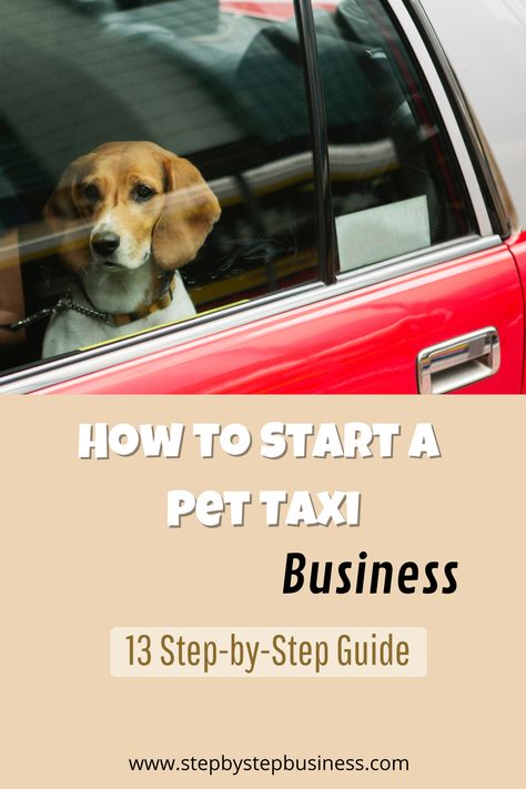 Complete step-by-step guide to starting a pet taxi business including costs, profit potential, registering your business and hiring staff. #pettaxibusiness Taxi Business, Pet Taxi, Pet Transport, Tuk Tuk, Dog Daycare, Taxi Service, Marketing Strategies, Relocation, Pet Parent