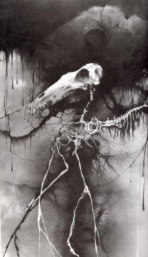 Pin for Later: The 16 Most Chilling Illustrations From Scary Stories to Tell in the Dark "Bess" Ah yes, good ol' Bess. Just casually haunting your nightmares like it's no big deal. Stephen Gammell, Scary Stories To Tell, Halloween Artwork, Stories To Tell, Design Bag, Comics Artist, Dark Pictures, 31 Days Of Halloween, Arte Obscura