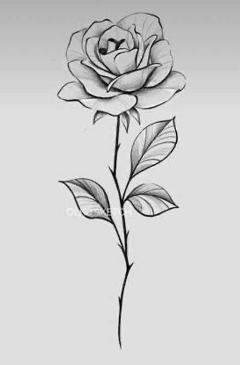 Pin by Teddy on Tattoo | Rose drawing tattoo, Rose flower tattoos, Single rose tattoos Rose With Stem Drawing, Rose With Stem Tattoo, Rose Stem Tattoo, Stem Tattoo, Rose With Stem, Rose Tattoo Stencil, Single Rose Tattoos, Simple Rose Tattoo, 42 Tattoo