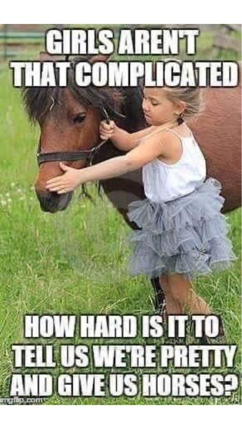 Funny Horse Memes, Jokes To Tell, Horse Quotes Funny, Funny Horse Videos, Funny Horse Pictures, Horse Jokes, Inspirational Horse Quotes, Horse Riding Quotes, Equestrian Quotes