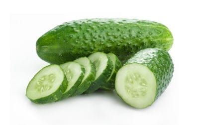 Cucumber Seedlings, How To Grow Cucumbers, Veggies Garden, Cucumber Pickles, Vegetables Growing, Grow Cucumbers, Cucumber Vegetable, Cucumber Gardening, Cucumber Varieties