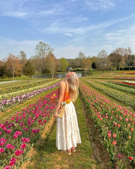 Fashion • Instagram Tulip Field Outfit, Field Outfit, Tulip Farm, Italian Summer Outfits, Tulip Field, Summer Outfits 2024, Farm Clothes, Flower Photoshoot, Picking Flowers