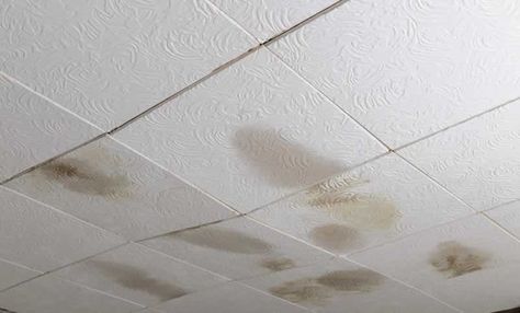 DIY Ceiling Tiles - Replace Damaged Ceiling Tiles Project | Arrow Fastener Replace Tile Ceiling, Replacing Tile Ceiling, How To Replace Ceiling Tiles, Ceiling Tile Replacement Ideas, Replacing Drop Ceiling Tiles, Replace Ceiling Tiles, Replace Drop Ceiling Tiles, Replacing Ceiling Tiles, Diy Ceiling Tiles