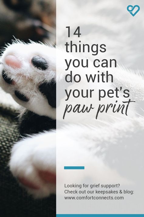 Paw Print Sayings, Cat Paw Print Keepsake, Animal Paw Prints Craft, Pet Memorial Paw Print, Paw Print Ideas Pet Memorials, Paw Print Crafts Diy, Dog Paw Print Ideas, Dog Paw Art Diy, Pet Fur Keepsake