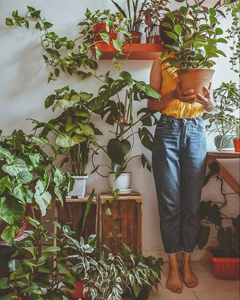 Plants Ideas Indoor, Indoor Plants Decor Ideas, Indoor Plant Decor Ideas, Plant Mom Aesthetic, Plant Decor Ideas, Indoor Plants Decor, Plant Styling, Plants Ideas, Best Indoor Plants