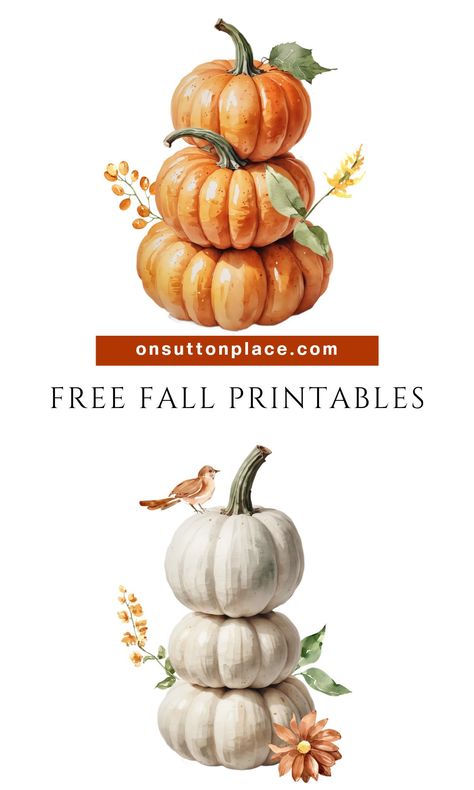 Savor the season with these easy-to-download, free fall printables. Use budget-friendly DIY frames for instant autumn wall art! Free Fall Printables Farmhouse, Free Printable Wall Art Vintage, Free Printable Fall Wall Art, Farmhouse Printables Free, Spring Printables Free, Free Scripture Printables, Seasonal Printables, Fall Harvest Party, Free Fall Printables