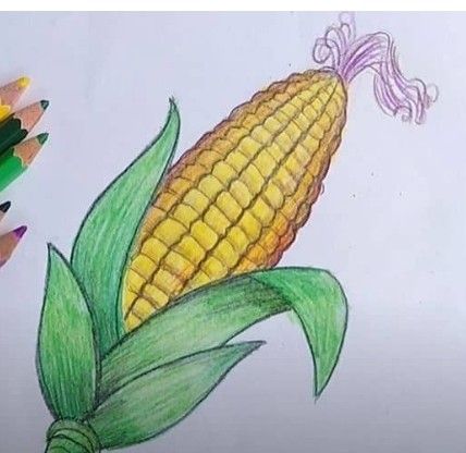 Corn Drawing, Drawing Instructions, Girl Drawing Easy, Pencil Drawing Tutorials, Flower Drawing Tutorials, Drawing Tutorials For Beginners, Easy Drawing Tutorial, Easy Love Drawings, Easy To Draw