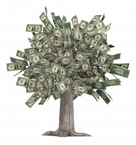 Need a money tree?   Learn How To Make one. Pacific Crest Trail, Unclaimed Money, Idle Game, Money Tree, Dollar Bills, Show Me The Money, Money Spells, Money Trees, Scholarships For College