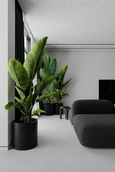 mmz1h on Behance Cute Studio Apartment Decor, Modern Home Decor With Plants, Modern Living Room With Plants, Interior Planters, Plant For Living Room, Plants In Living Room, Plant Studio, Plant Decor Living Room, Living Room Plants Decor