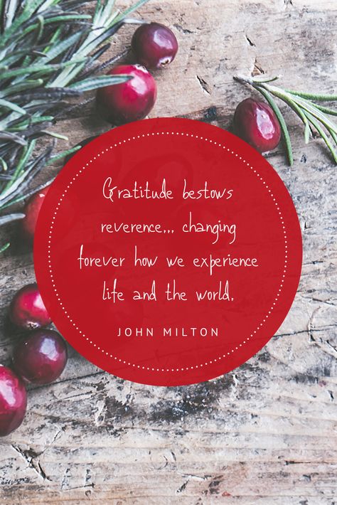 This time of year we are bombarded with media surrounding family activities and events. But what does this actually look like in real life? We have some tips to have a happy, healthy season, whatever that means for YOU. We will be putting out more tips for family togetherness and mental health during the holidays over the coming weeks. We are starting with gratitude as Thanksgiving is just around the corner. Cheers a happy holiday season! Thanksgiving Mental Health, New Year Gratitude, Christmas Gratitude, Gratitude Attitude, Family Togetherness, John Milton, Holiday Pins, Family Crafts, Attitude Of Gratitude