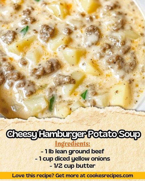 Daily Yum Recipes Cheesy Hamburger Potato Soup, Hamburger Potato Soup, Daily Yum, Hamburger And Potatoes, Soup Beef, Cheesy Potato Soup, Potato Soup Easy, Ground Beef And Potatoes, Beef Soup Recipes