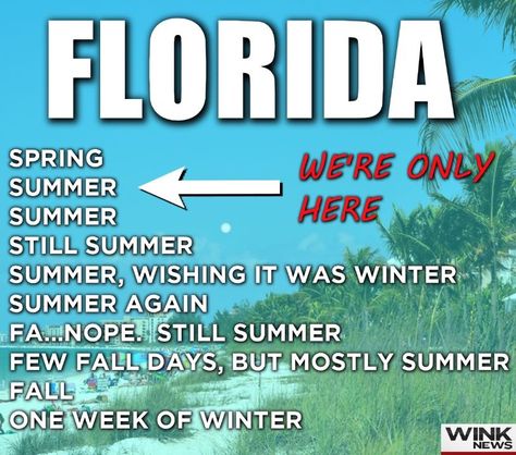 Florida Weather Humor, Weather Humor, Florida Funny, Weather Memes, Florida Weather, Florida Springs, Impulsive Behavior, Florida Girl, Florida Living