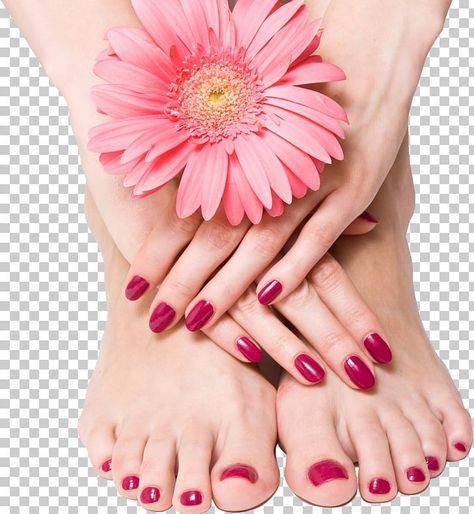 Nail Foot, Foot Pedicure, Spa Facial, Red Manicure, Pink Manicure, Beauty Parlour, Manicure Gel, Beauty Parlor, Nail Health