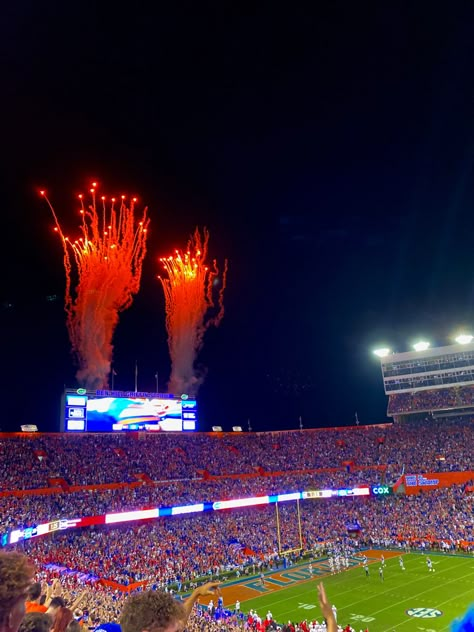 Florida A&m University, Florida Gators Aesthetic, Uf College Aesthetic, Florida University Aesthetic, Usf Aesthetic, University Of Miami Aesthetic, University Of Florida Aesthetic, Uf Aesthetic, Uf Football