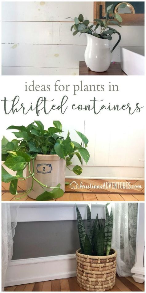 Giving you ideas on how to see items at the thrift store in new ways – and how to let your (real or faux) plants look great in your secondhand containers! #thrifty #DIY #houseplants #plants #enamelware Thrift Store Planter Ideas, Thrifted Planters, Plantes Aesthetics, Plante Aesthetic, Houseplant Diy, Planting Drawing, Tattoos Plants, Outdoor Shower Fixtures, Diy Planters Indoor