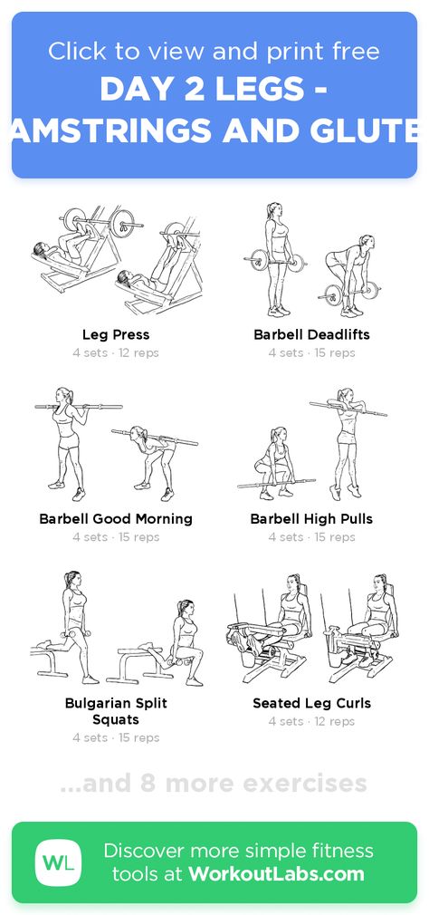 Leg Day Glutes And Hamstrings, Ham And Glute Workout, Legs Hamstrings, Glutes And Hamstrings Workout, Workout Planet Fitness, Hamstrings Workout, Hamstrings And Glutes, Workout Gym Routine, Leg Workouts Gym