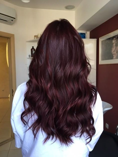 Cool Toned Dark Red Hair, Dark Red Tinted Hair, Black Hair Red Tint, Red Wine Hair Color Dark, Dark Hair With Red Tint, Red Tinted Hair, Red Tinted Brown Hair, Dark Cherry Hair, Pelo Color Vino