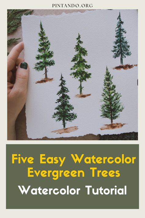 Discover the art of watercolor with our 'Five Easy Watercolor Evergreen Trees: Watercolor Tutorial' tutorial. Perfect for beginners, this step-by-step guide will help you create stunning landscapes featuring these iconic trees. Elevate your artistic skills and dive into a world of color, depth, and creativity. Join us on this inspiring journey and turn your imagination into a beautiful masterpiece. Watercolor Art For Beginners Trees, Pine Trees Watercolor Painting, Watercolor Christmas Cards Ideas Winter Scenes, Watercolor Pine Trees Tutorial, Watercolour Pine Trees, How To Paint Trees Watercolor, Watercolor Pine Tree Tutorial, Evergreen Tree Drawing, Watercolor Art Lessons Tutorials